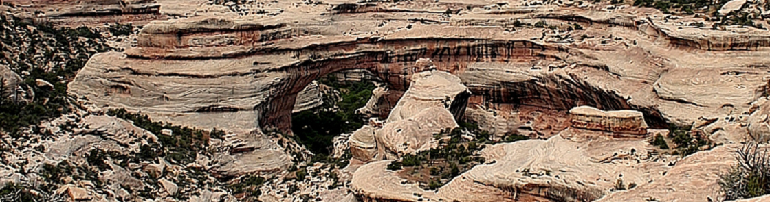 Utah - Natural Bridges National Monument