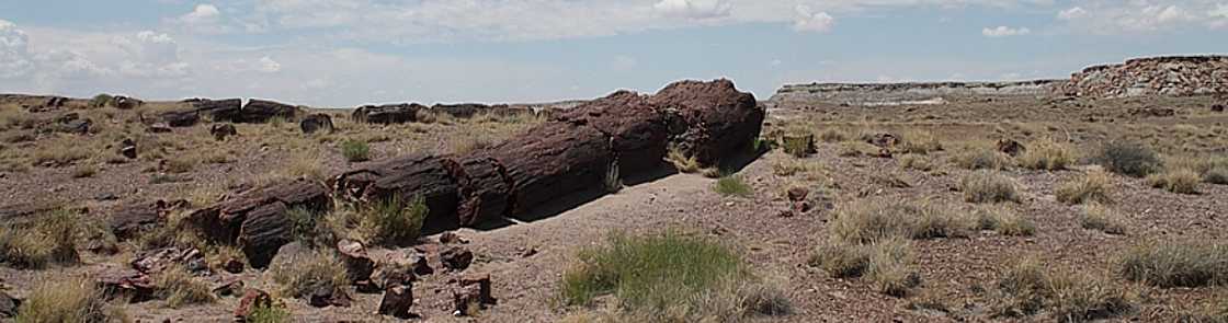 Arizona - Petrified Forest National Park.