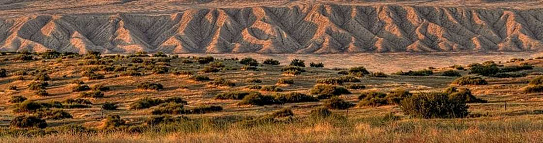 Californie - Carrizo Plain National Monument