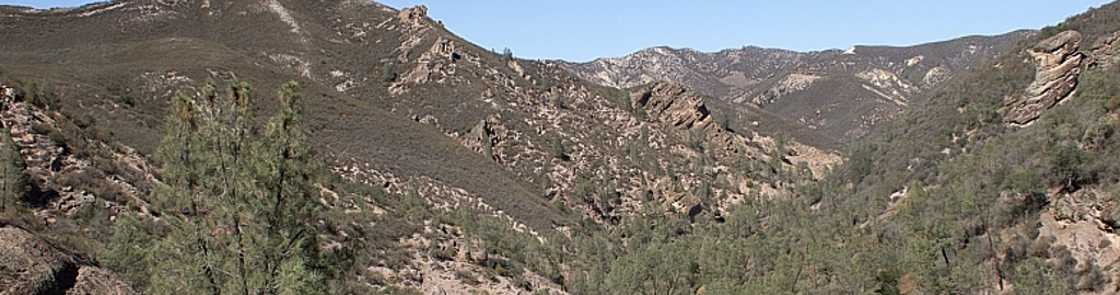 Californie - Pinnacles National Park