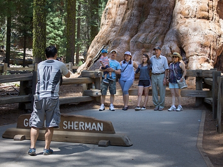 General Sherman Tree.