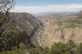 Canyons in Dinosaur NM.