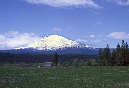 Mt. Adams en het Gifford Pinchot National Forest.