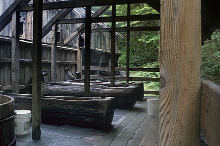 Lower Bathhouse (Bagby Hot Springs).