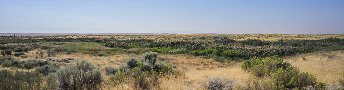 Washington - Hanford Reach National Monument