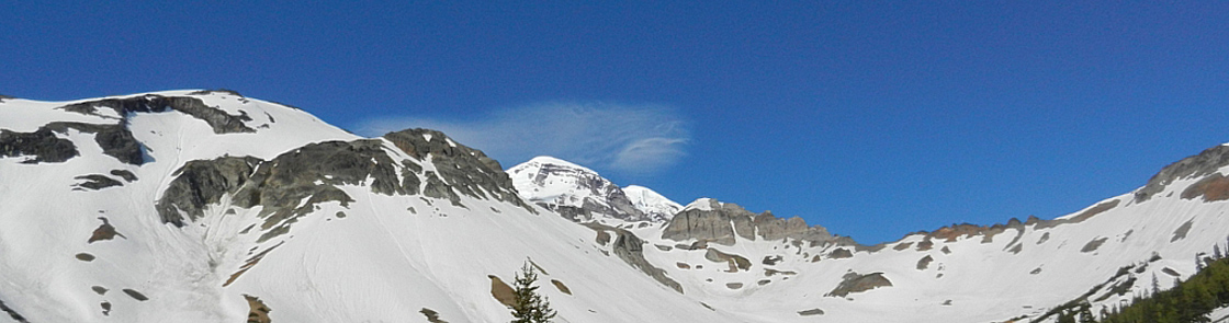 Washington - Mount Rainier National Park