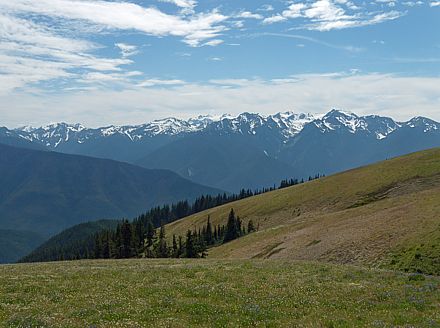 De Olympic Mountains.