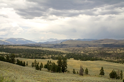 Yellowstone NP.